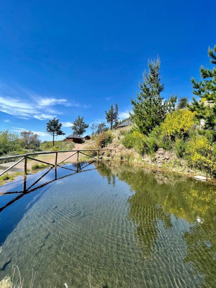 Hotel Mountain Eco Shelter 7 Funchal  Esterno foto