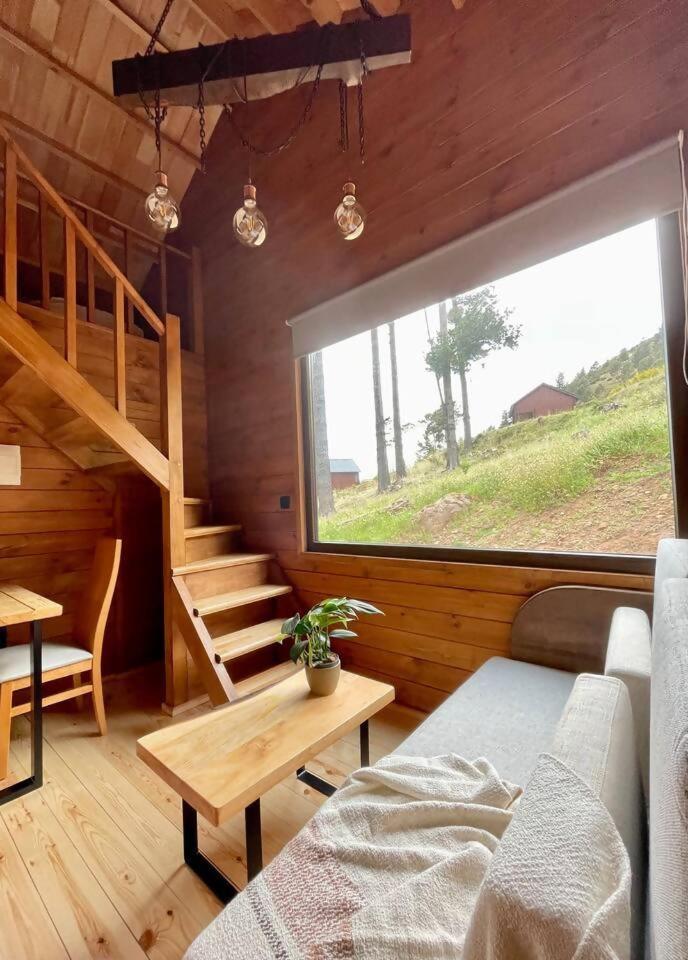 Hotel Mountain Eco Shelter 7 Funchal  Esterno foto