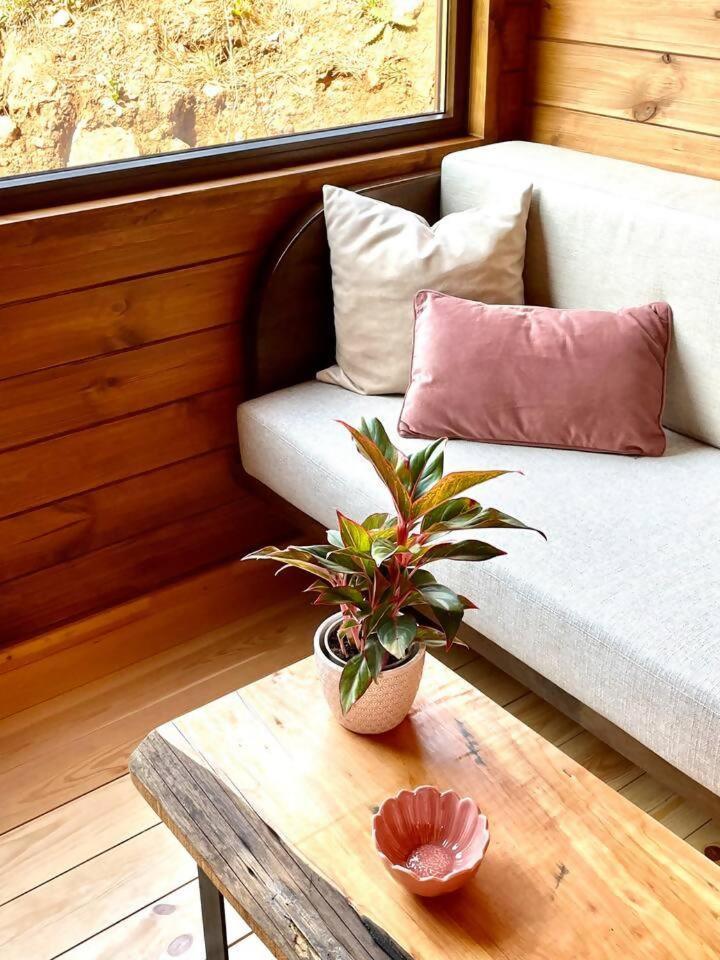 Hotel Mountain Eco Shelter 7 Funchal  Esterno foto